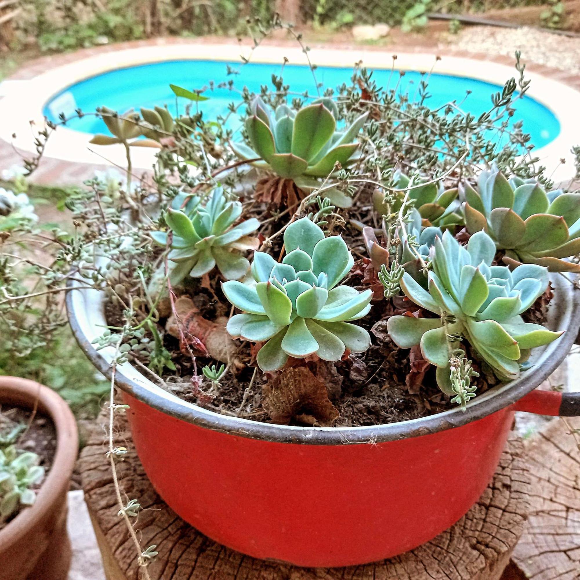 Casa.colibri.lacumbre